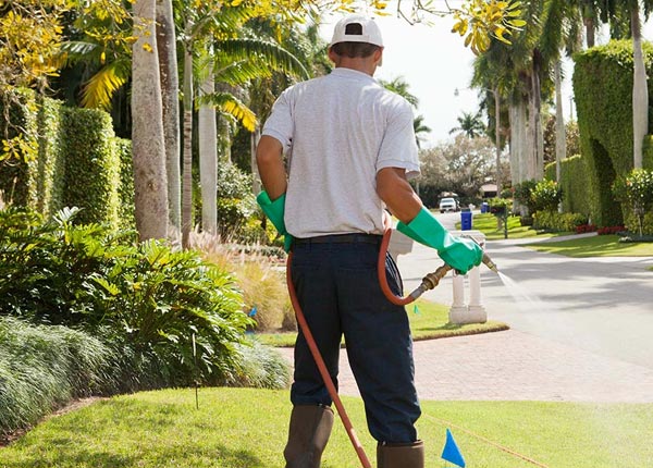 About North Granville NY Pest Control